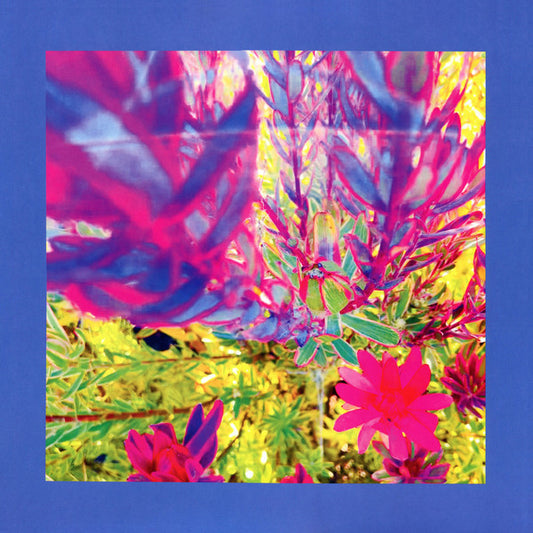 The Reds, Pinks & Purples* - The Past Is A Garden I Never Fed (LP, Ltd, RP, Blu)