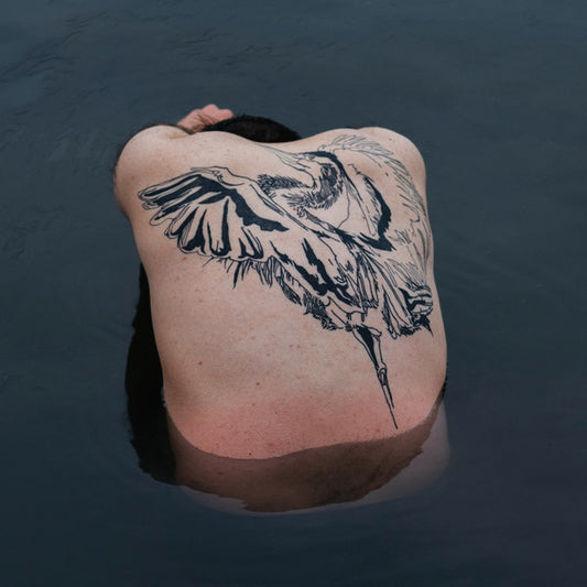 Jodi (14) - Blue Heron (LP, Album, Dlx, Ltd, Met)