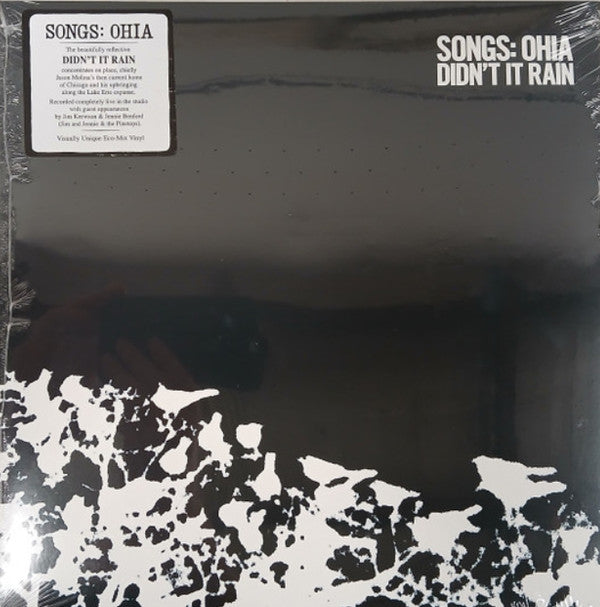 Songs: Ohia - Didn't It Rain (LP, Album, RE, Eco)