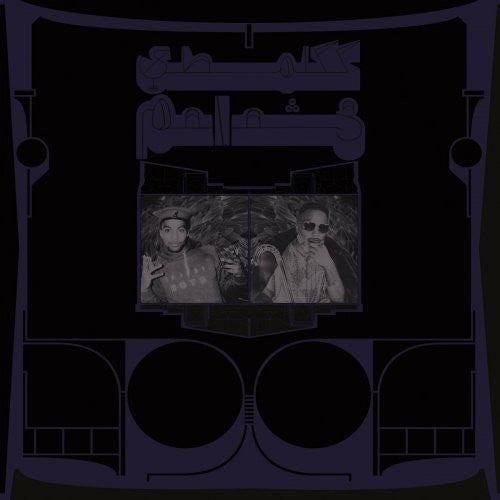 Shabazz Palaces - The Floss Vibes Of Shabazz Vol. 2: Exotic Birds Of Prey (CD, Album)