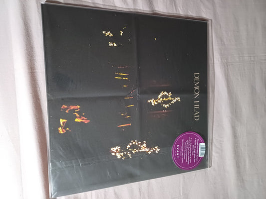 Demon Head - Through The Holes Shine The Stars (LP, Album, Tra)