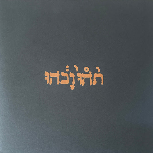 Godspeed You Black Emperor! - Slow Riot For New Zero Kanada E.P. (12", EP, RE, RP, 180)