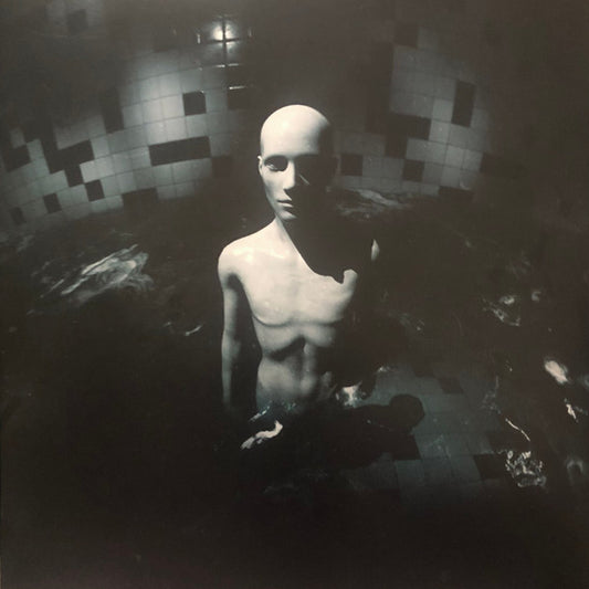 Graphic Nature (2) - Who Are You When No One Is Watching? (LP, Album, Bla)