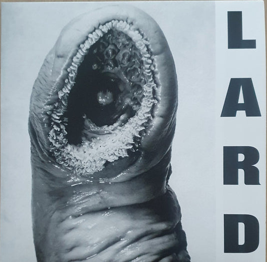 Lard - Power Of Lard EP (12", EP, RE, RM, Whi)