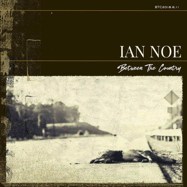 Ian Noe - Between The Country (LP, Album)