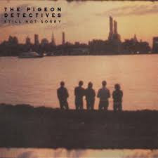 The Pigeon Detectives - Still Not Sorry (The Best Of The Pigeon Detectives) (CD, Comp)