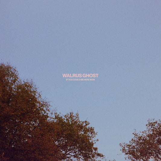 Walrus Ghost - If You Could Be Here Now (LP, Album + 15xFile, AAC, FLAC, MP3, WAV, Album)
