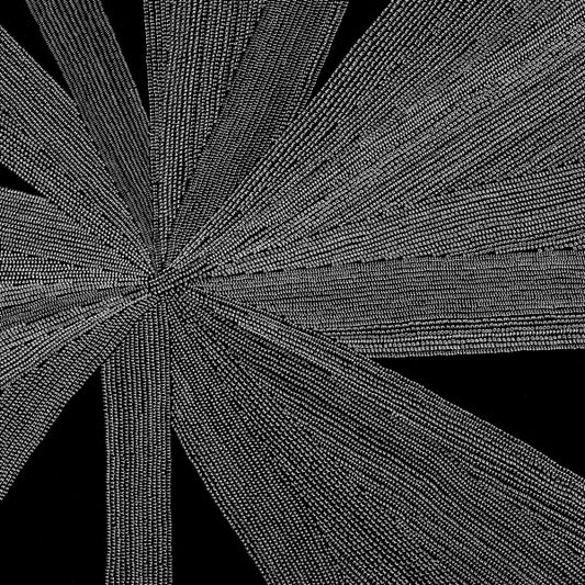 Amina Claudine Myers - Solace of the Mind (LP, Ltd, 180)