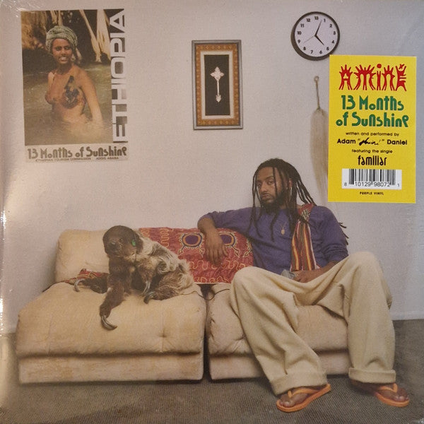 Aminé - 13 Months Of Sunshine (LP, S/Edition, Pur)