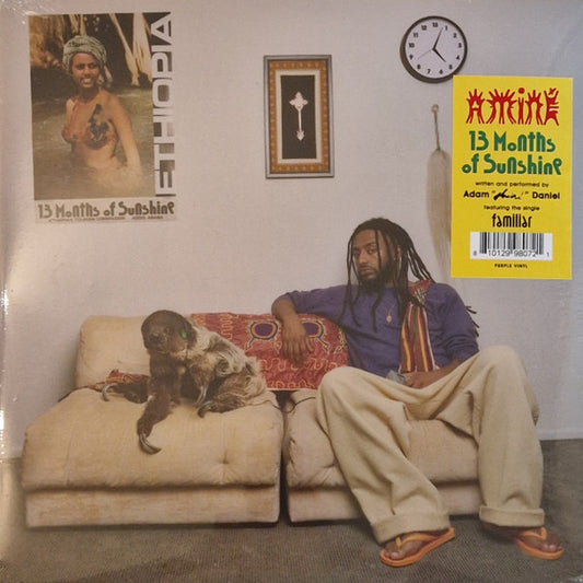 Aminé - 13 Months Of Sunshine (LP, S/Edition, Pur)