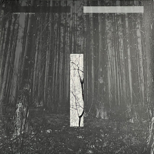 Chris Liebing - Another Day (2xLP, Album)