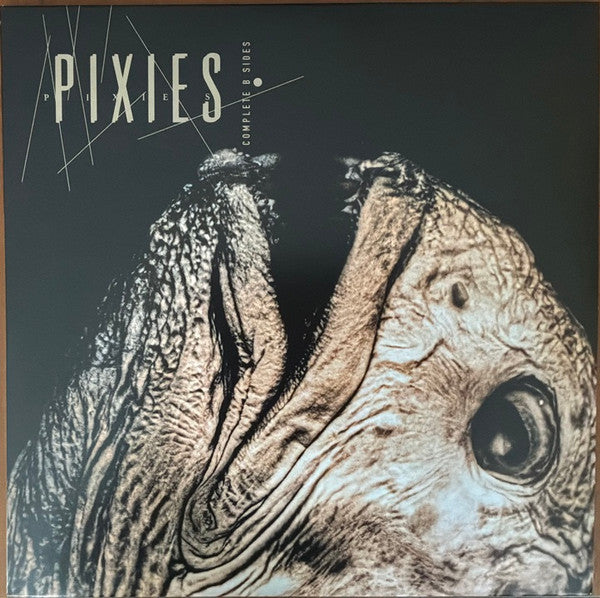 Pixies - Complete B Sides (2xLP, Comp, RE, RM, Tra)