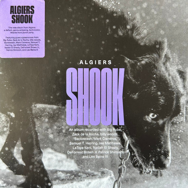 Algiers (2) - Shook (CD, Album)