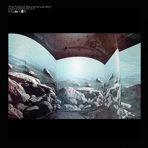 The Future Sound Of London - Environment 6.5 (CD, Album, Mixed)