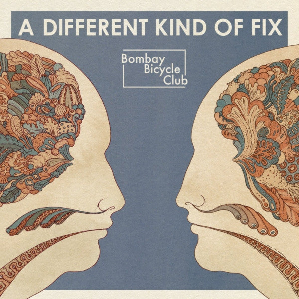 Bombay Bicycle Club - A Different Kind Of Fix (LP, Album)