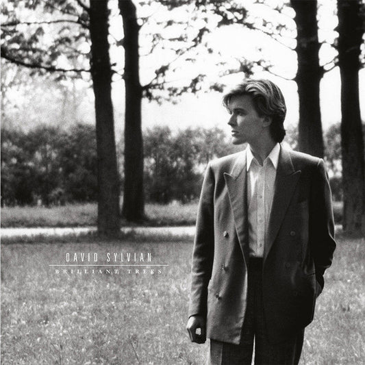 David Sylvian - Brilliant Trees (LP, Album, M/Print, RE, RM, RP, 180)