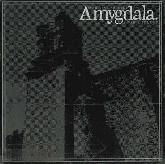 Amygdala (12) - Our Voices Will Soar Forever (CD, Album)