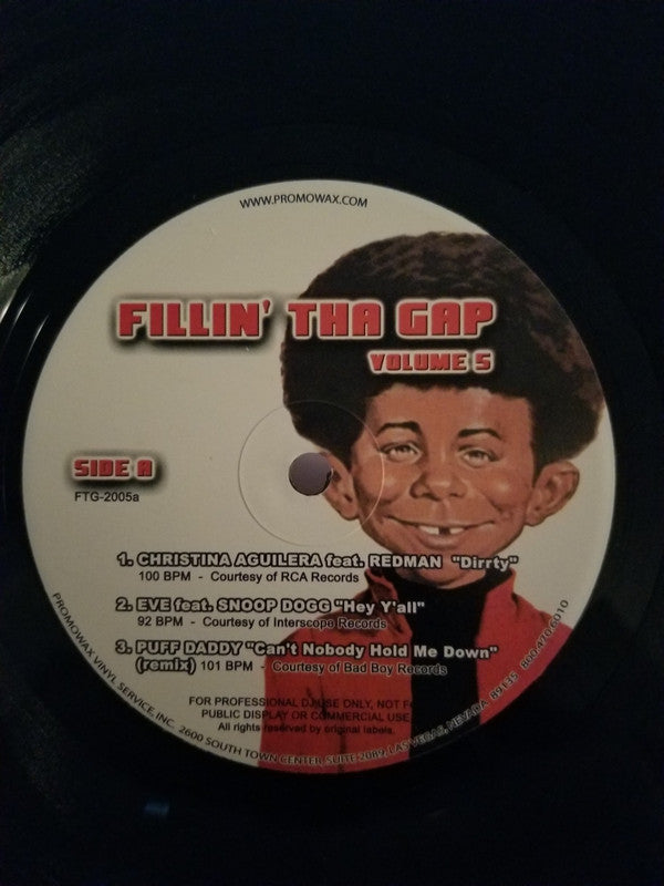 Various - Fillin' Tha Gap Volume 5 (12", Comp, Promo, Unofficial)