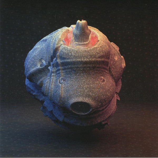 Joe Goddard - So Much (12")