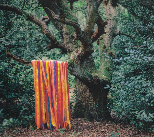 James Holden & The Animal Spirits - The Animal Spirits (CD, Album)