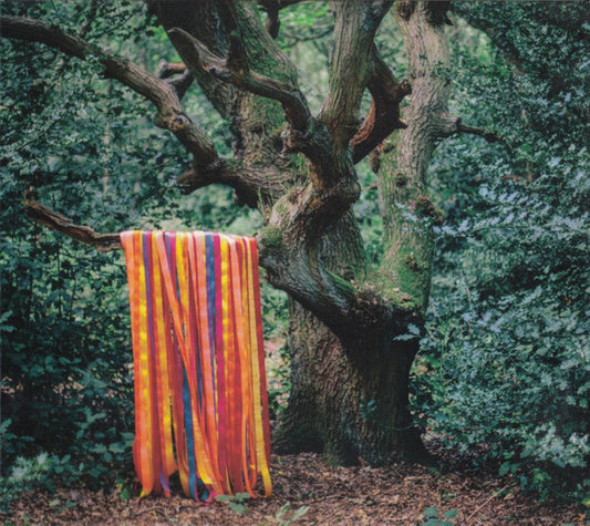 James Holden & The Animal Spirits - The Animal Spirits (CD, Album)