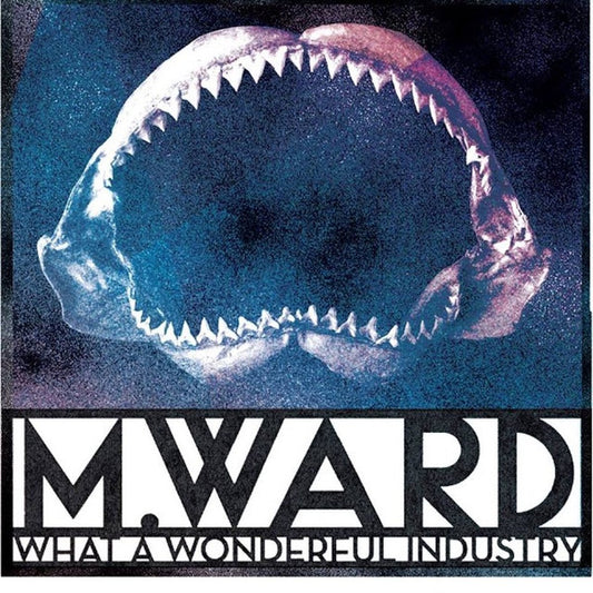 M. Ward - What A Wonderful Industry (CD, Album)
