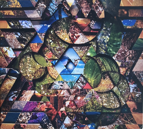 Miguel Atwood-Ferguson - Les Jardins Mystiques Vol​.​1 (3xCD, Album)