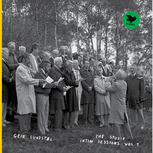 Geir Sundstøl - The Studio Intim Sessions, Vol.1 (LP, Album)