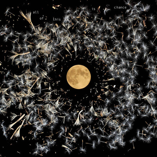 Lisa O'Neill (2) - All Of This Is Chance (LP, Album)