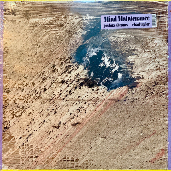 Mind Maintenance - Mind Maintenance (LP, Album)