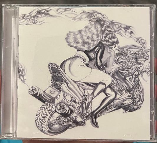 Courting - Lust For Life : How To Thread The Needle And Come Out The Other Side To Tell The Story (CD, Album)