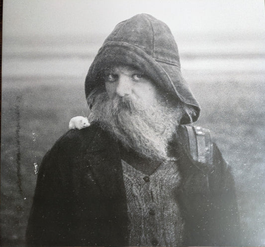 mary in the junkyard - Role Model Hermit (LP, Album, Cle)