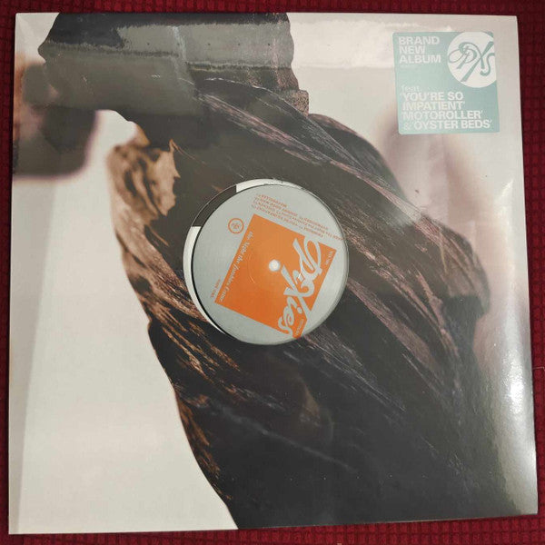 Pixies - The Night The Zombies Came (LP, Album)