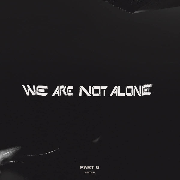 Various - We Are Not Alone Part 6 (2x12", Comp)