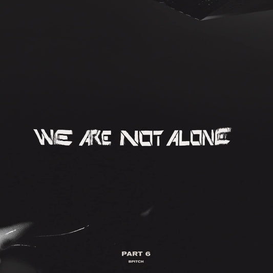 Various - We Are Not Alone Part 6 (2x12", Comp)