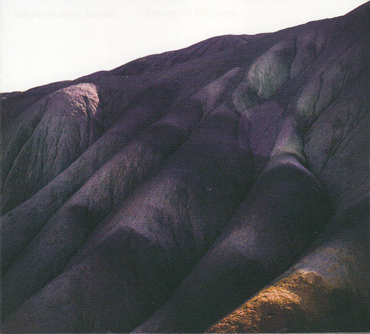 Whispering Sons - Several Others (CD, Album)
