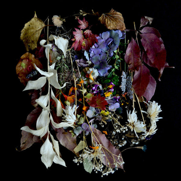 Paws (3) - Your Church On My Bonfire (LP, Album, Ltd, Cle)