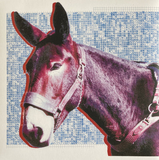 Protomartyr (2) - Ultimate Success Today (LP, Album)