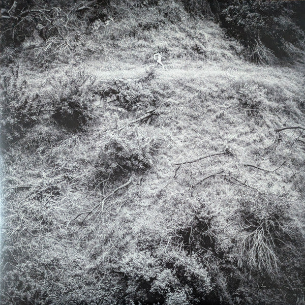 Anna Tivel - Animal Poem (LP, Album)