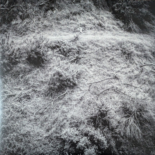 Anna Tivel - Animal Poem (LP, Album)