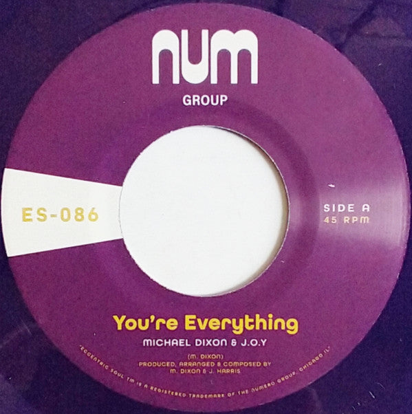 Michael Dixon & J.O.Y. - You're Everything (7", RE, Pur)