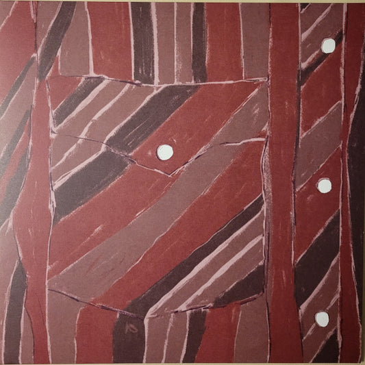 Jake Xerxes Fussell & James Elkington - Rebuilding (LP)