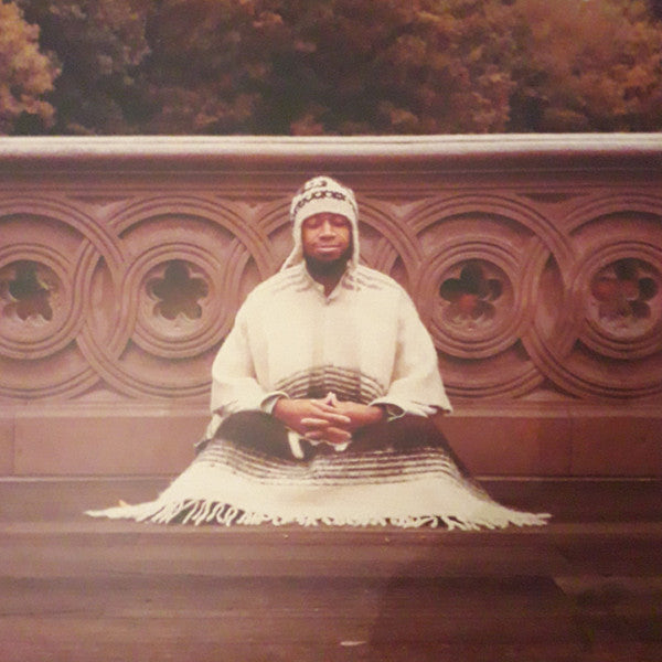 Laraaji - Segue To Infinity (4xLP, Comp)