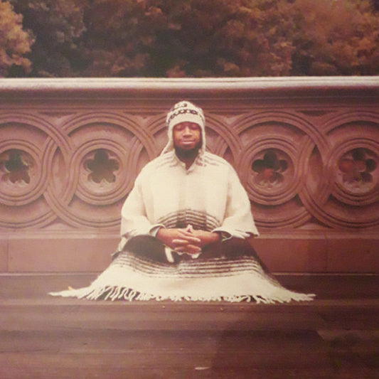 Laraaji - Segue To Infinity (4xLP, Comp)