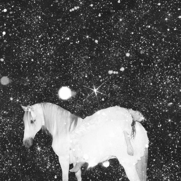 The Black Lips - Apocalypse Love (CD, Album)