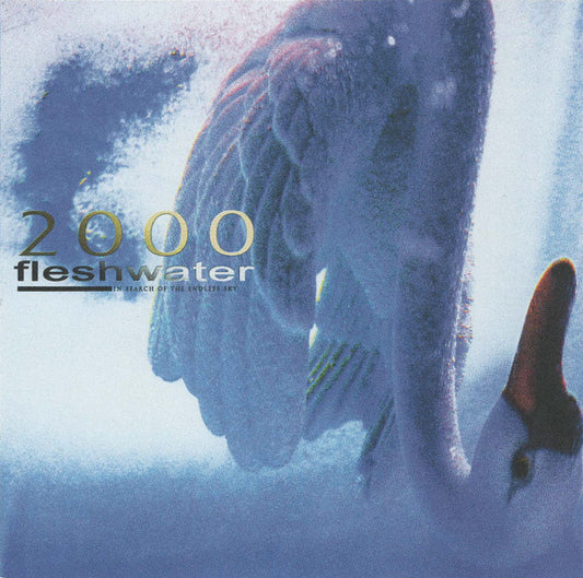 Fleshwater - 2000: In Search Of The Endless Sky (CD, Album)