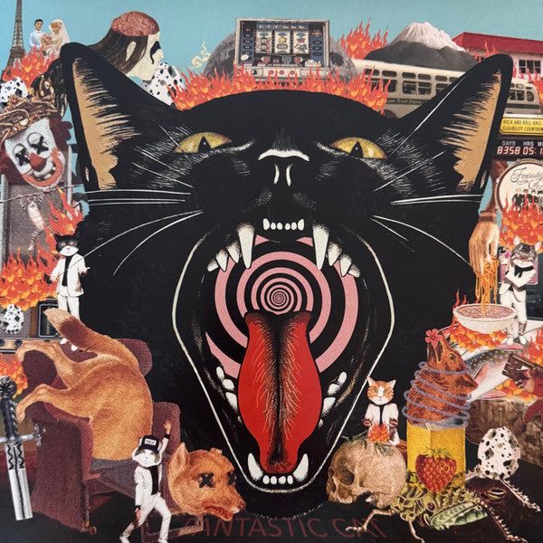 Fantastic Cat (2) - Cat Out Of Hell (LP, Album)