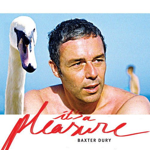 Baxter Dury - It's A Pleasure (LP, Album)