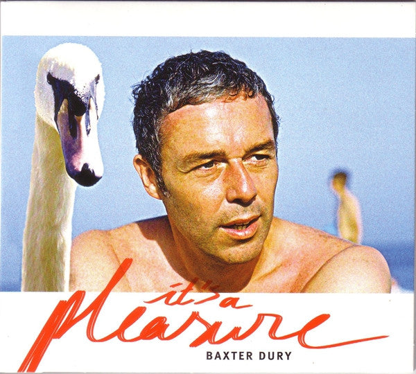 Baxter Dury - It's A Pleasure (CD, Album)