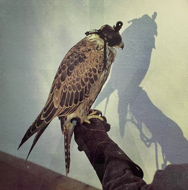 Iceage - You're Nothing (LP, Album)